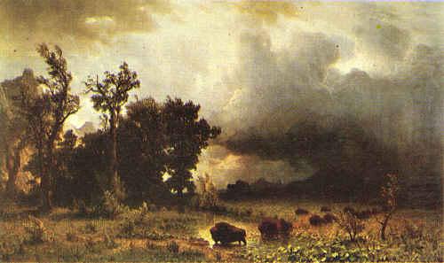 Albert Bierstadt Buffalo Trail china oil painting image